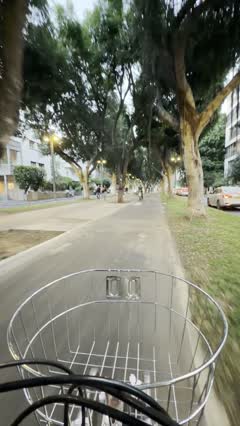 IMG_0786 at 65:25